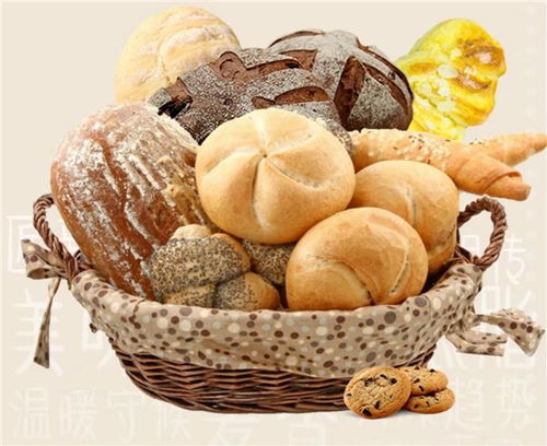 小成本創(chuàng)業(yè)者是否適合加盟左右歐包、秦皇島麥翁餐飲與掌上披薩？